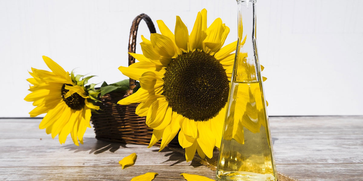 Sonnenblumen / Sonnenblumenöl
