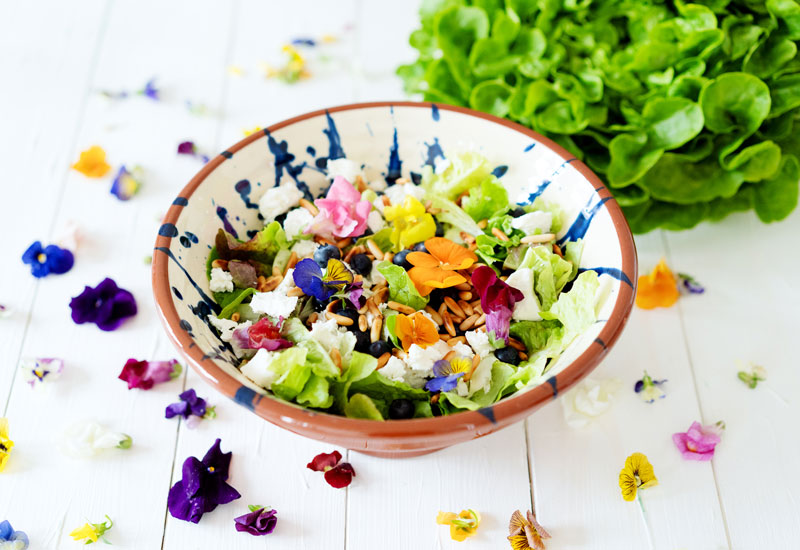 Salat mit Heidelbeeren