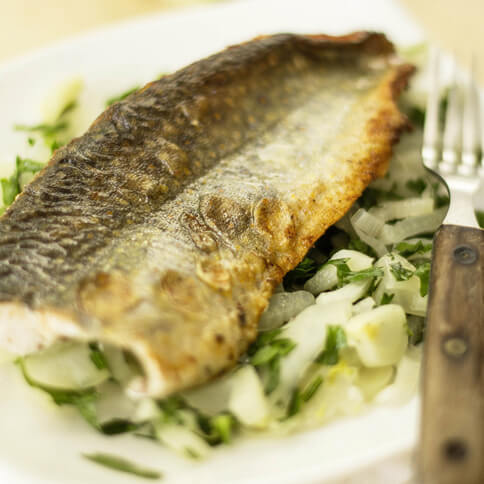 Gebratenes Saiblingsfilet auf lauwarmem Fenchelsalat