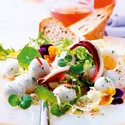 Frühlingssalat mit Mozzarella