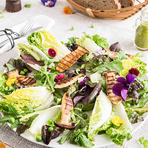 Endivien-Herzsalat mit Erbsen, Spargel, Kräuterseitlingen, wilden Kräutern und Rucola