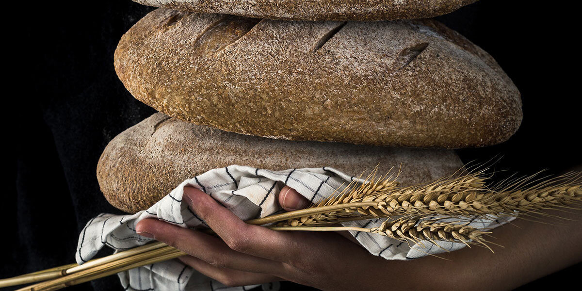 Brot und Gerste / Vollkorn Roggen Brot