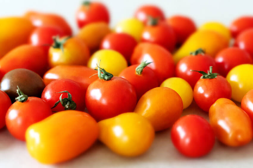 Tomaten