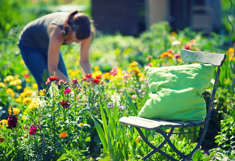 Frau arbeitet im Beet