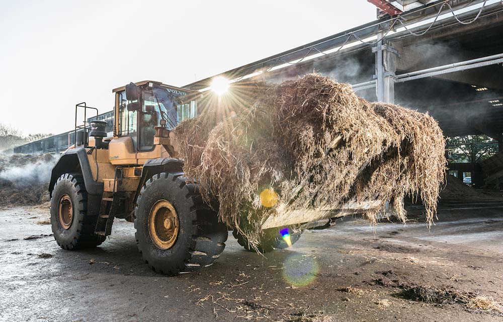 Herstellung des Substrats