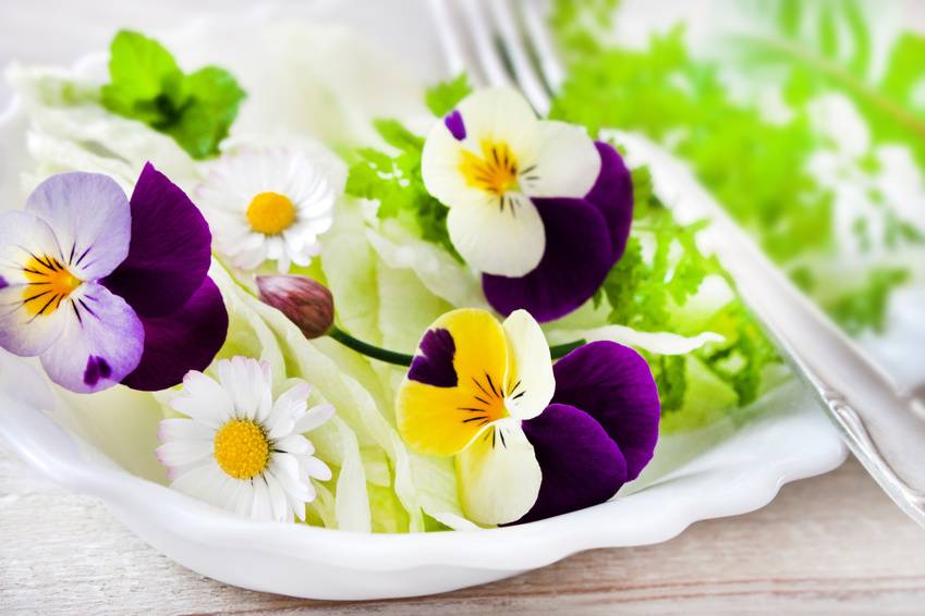 Salat aus Blüten