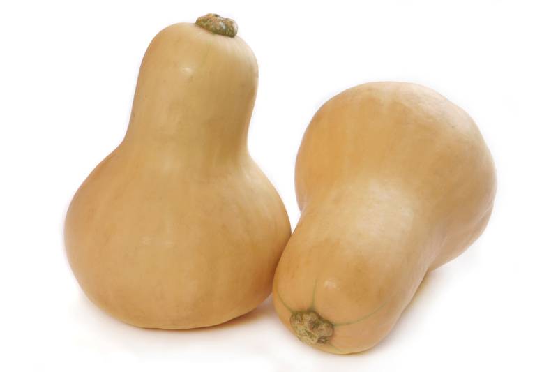 Butternut-Kürbis