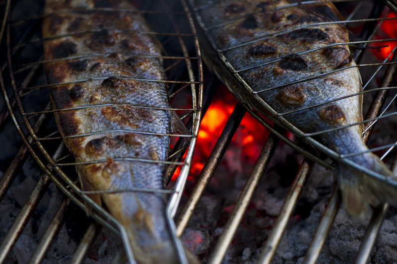 Fisch auf dem Grill