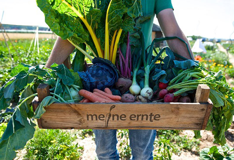 meine ernte feiert 10-jähriges Jubiläum