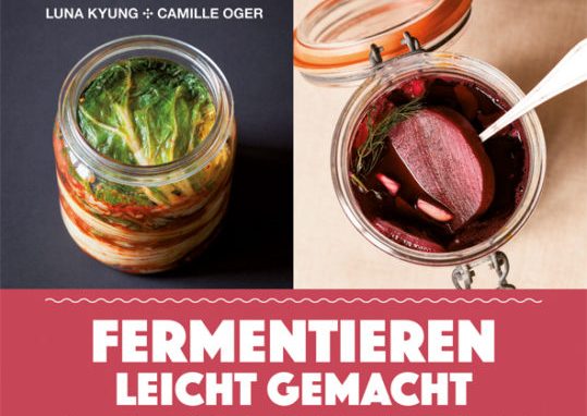 Buchcover Fermentieren leicht gemacht