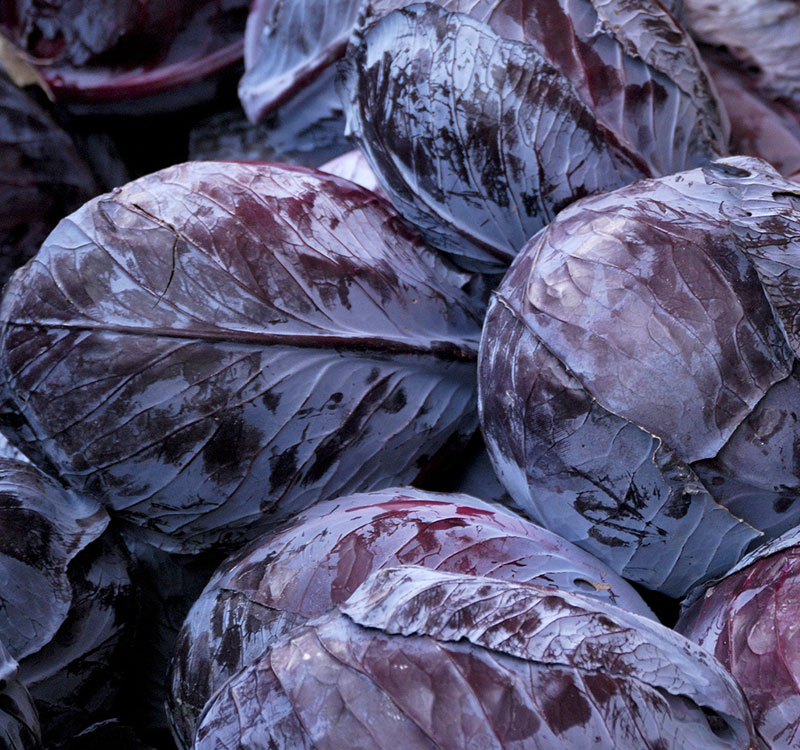 Rotkohl