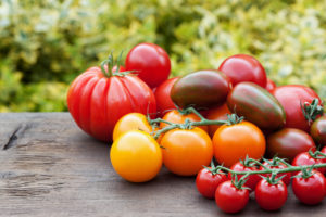 verschiedene Tomaten-Sorten