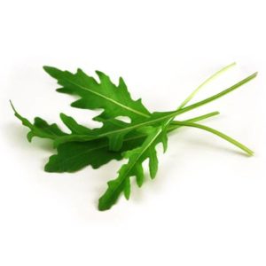 Rucola