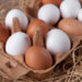 weiße und braune Eier im Karton