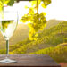 Weinglas Bei Sonnenuntergang Im Weinberg